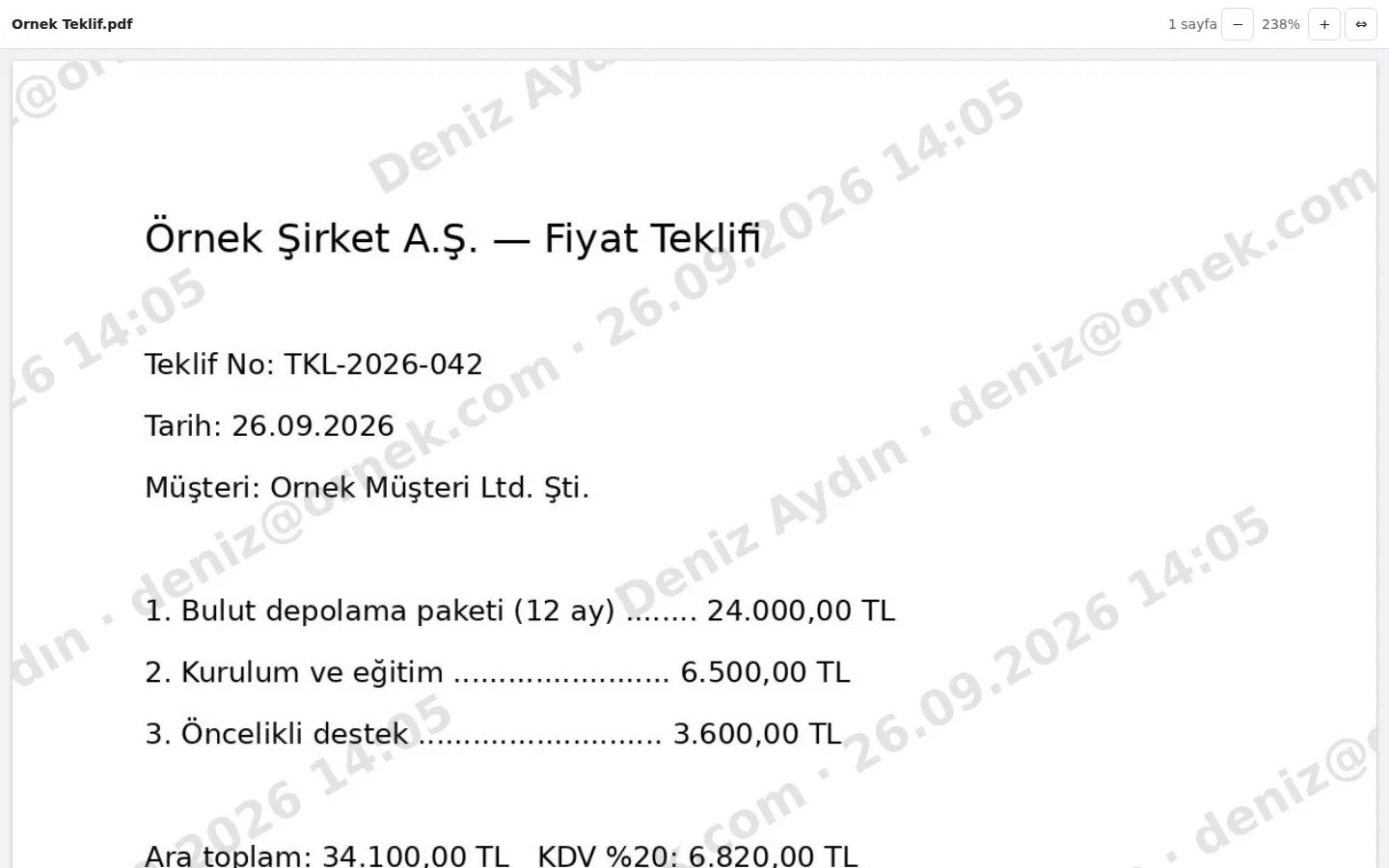 SmartFiles watermark-only viewing link: document watermarked with recipient's name and date