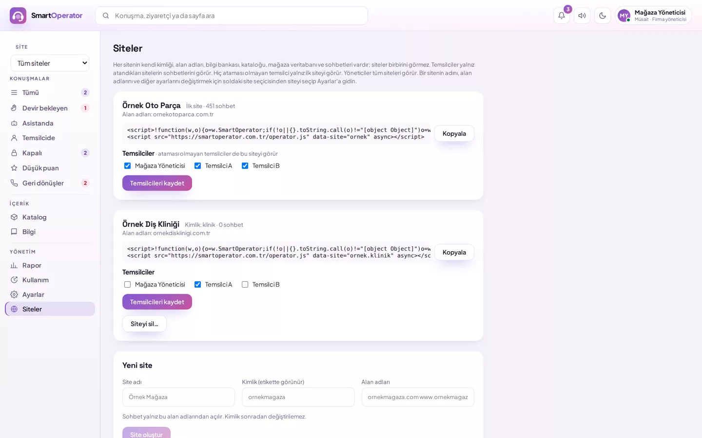 Siteler ekranı: site, alan adları ve sayfaya eklenecek etiket