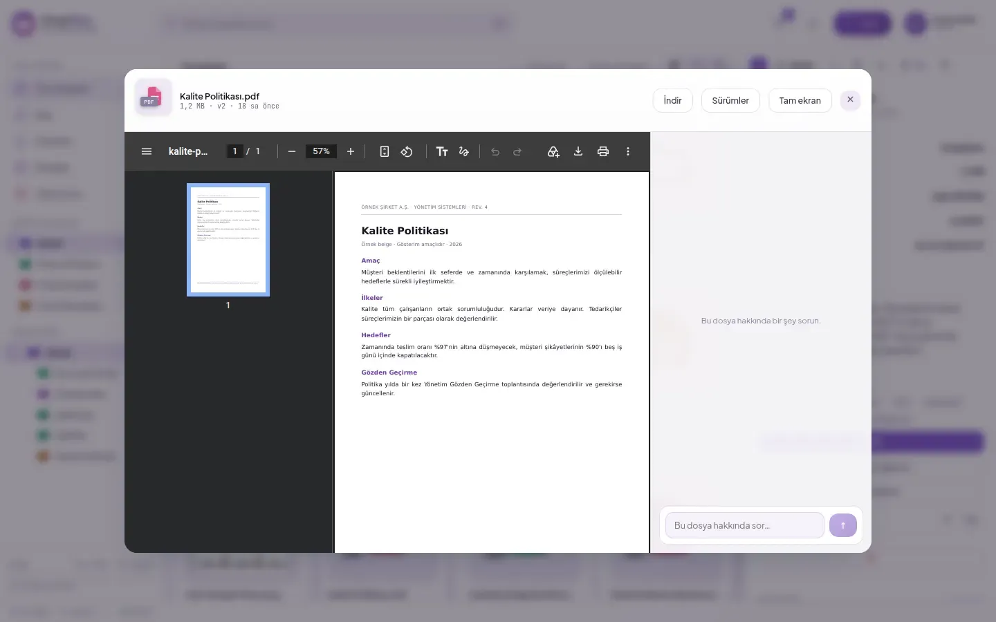 SmartFiles preview window: document open in browser without downloading