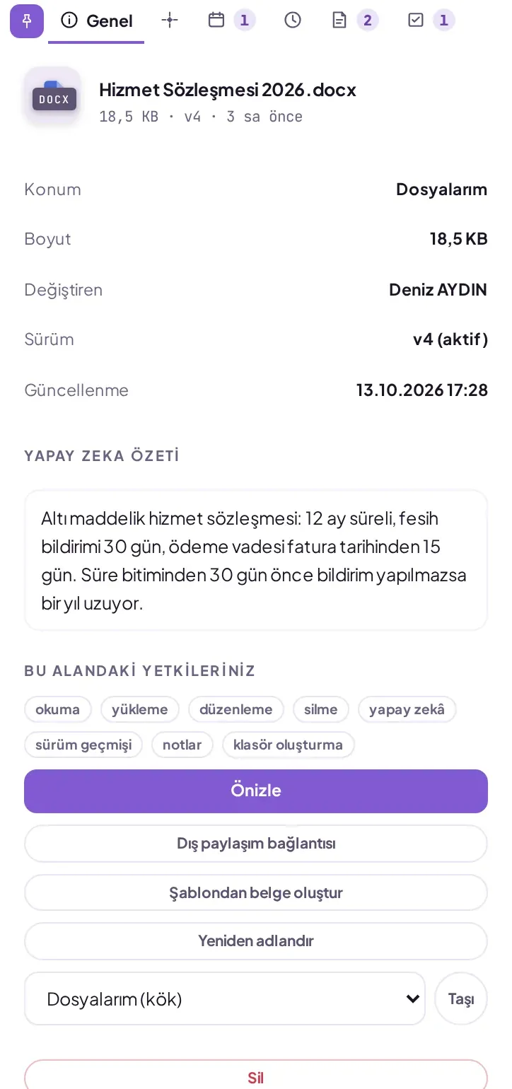 SmartFiles belge özeti paneli (örnek veriler)
